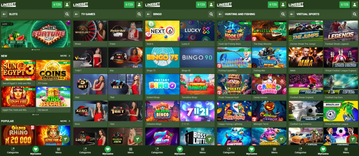 LineBet casino features
